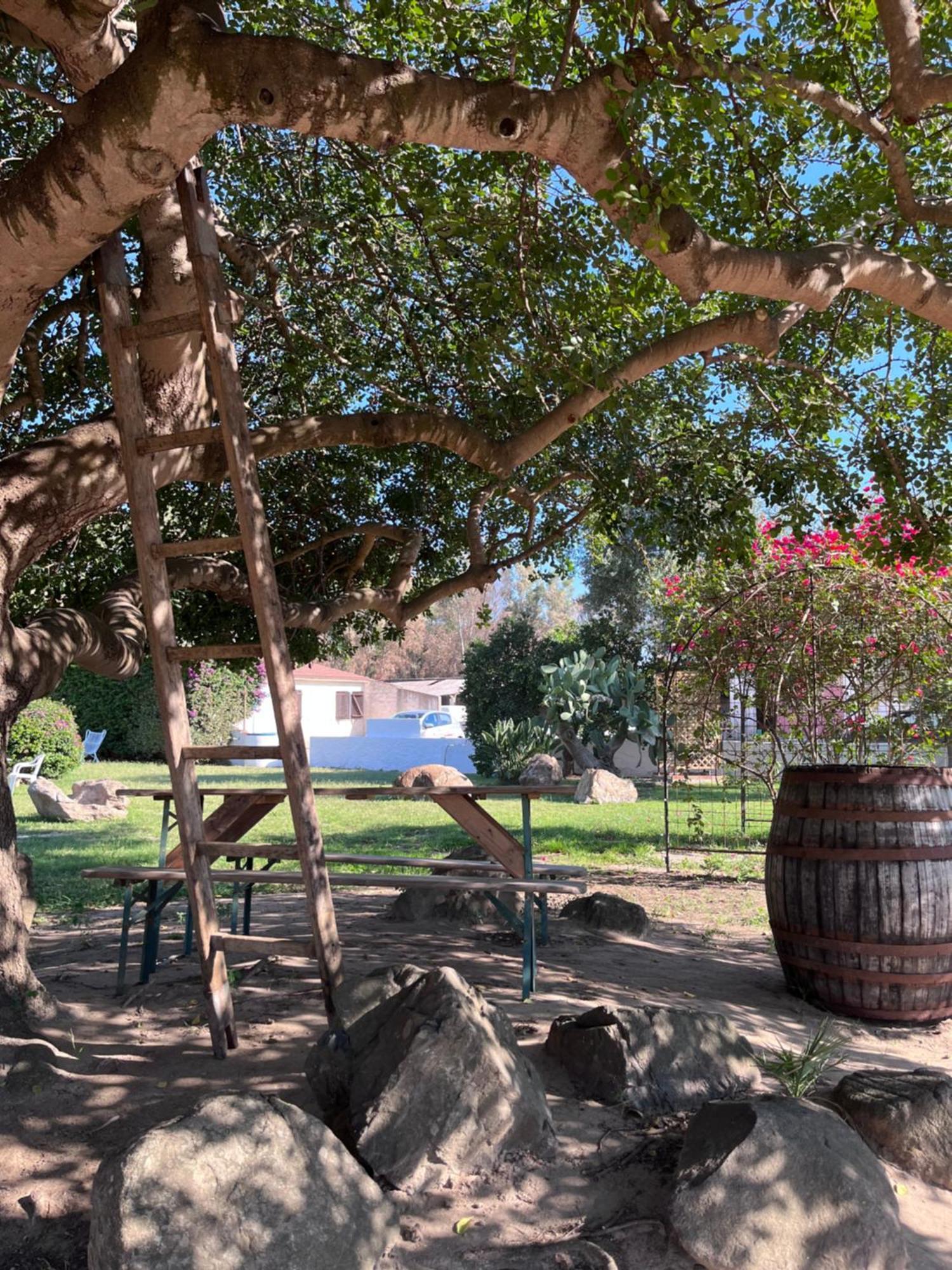 Bidd'E Majori Bed and Breakfast San Priamo Exteriör bild