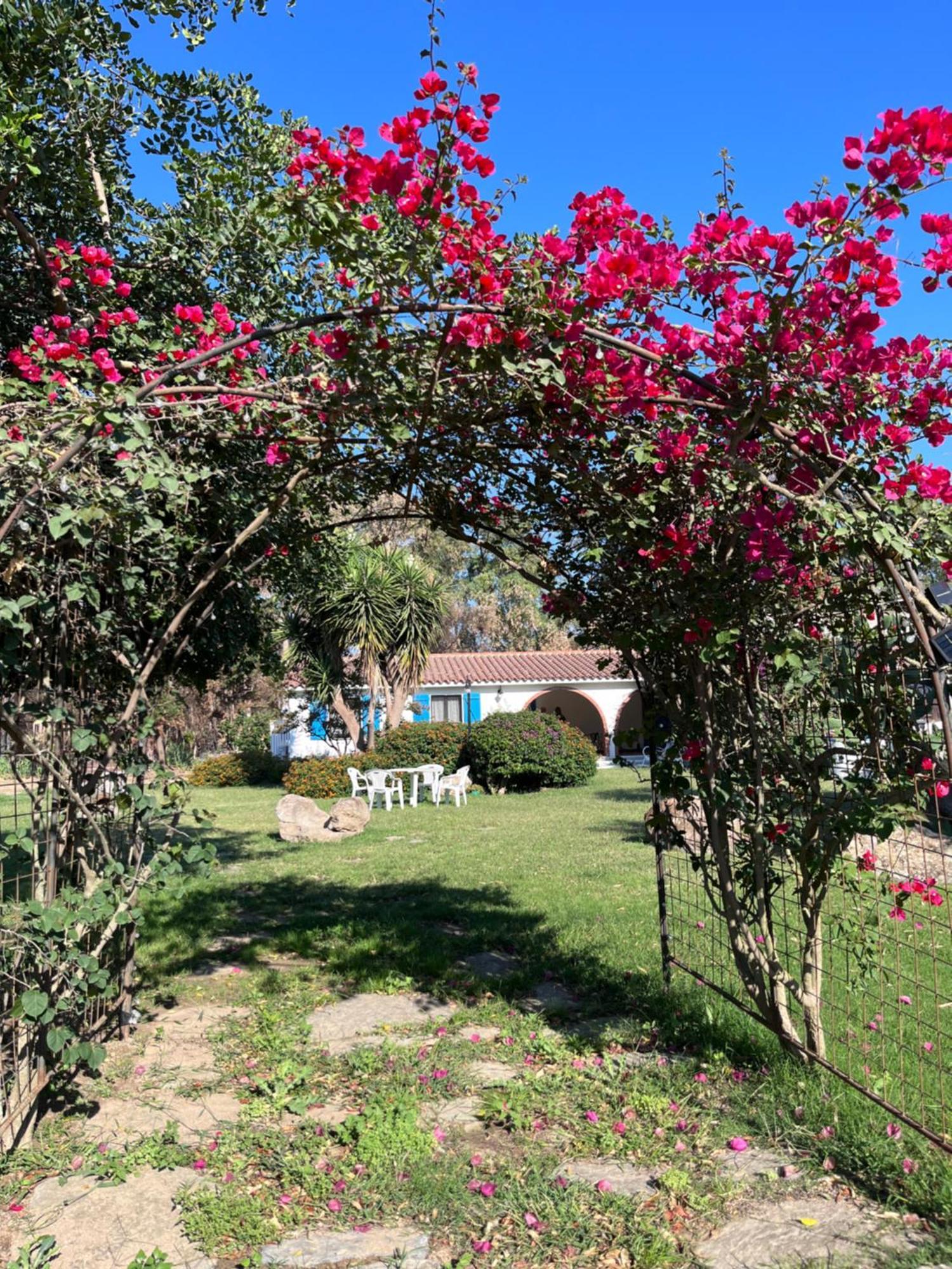 Bidd'E Majori Bed and Breakfast San Priamo Exteriör bild